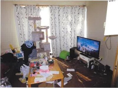 群馬県太田市 治良門橋駅12分 戸建て 296万円の競売物件 #5