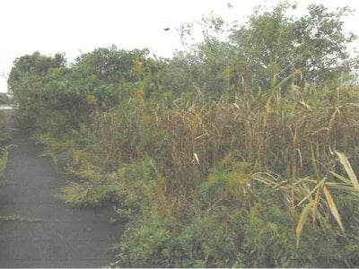 (値下げ) 富山県滑川市 西滑川駅4分 土地 276万円の競売物件 #4