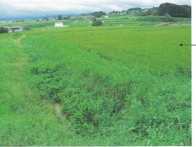 (値下げ) 富山県富山市 千里駅 農地 5,000円の競売物件 #2