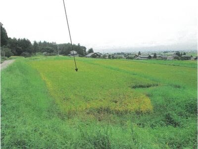(値下げ) 富山県富山市 千里駅 農地 5,000円の競売物件 #3