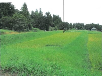 (値下げ) 富山県富山市 千里駅 農地 5,000円の競売物件 #4