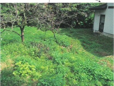 (値下げ) 富山県富山市 千里駅26分 農地 1万円の競売物件 #1