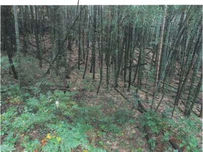 (値下げ) 富山県富山市 千里駅 農地 2万円の競売物件 #3