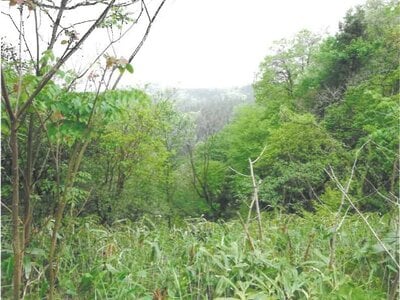 富山県南砺市 東石黒駅 戸建て 8,480万円の競売物件 #35