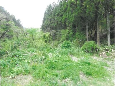 富山県南砺市 東石黒駅 戸建て 8,480万円の競売物件 #36