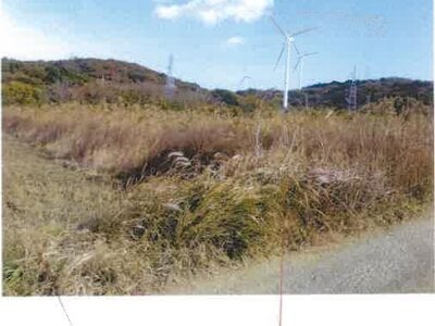 愛知県田原市 農地 42万円の競売物件 #1