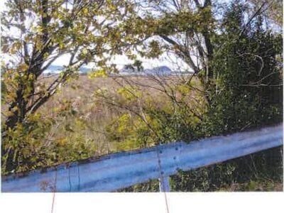 愛知県田原市 農地 42万円の競売物件 #3