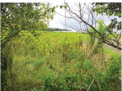 愛知県田原市 農地 42万円の競売物件 #7