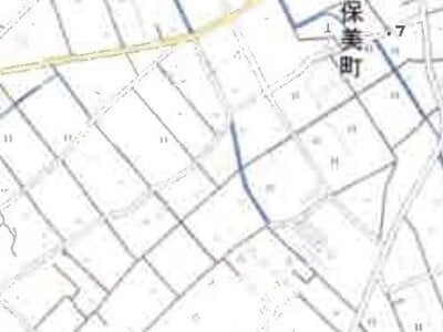 愛知県田原市 農地 68万円の競売物件 #7