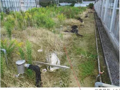 愛知県田原市 農地 24万円の競売物件 #6