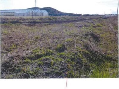 愛知県田原市 農地 23万円の競売物件 #2