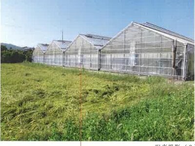 愛知県田原市 三河田原駅 農地 107万円の競売物件 #11