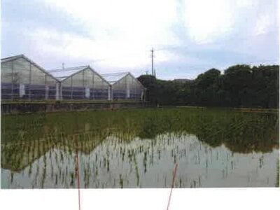 愛知県田原市 三河田原駅 農地 107万円の競売物件 #4