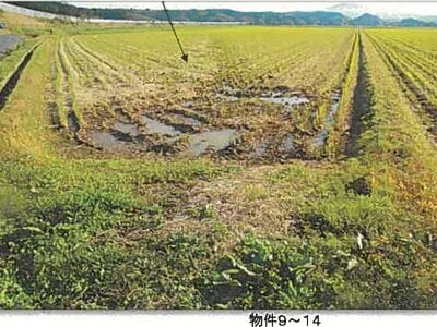 秋田県由利本荘市 羽後岩谷駅 農地 102万円の競売物件 #2