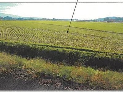 秋田県由利本荘市 羽後岩谷駅 農地 102万円の競売物件 #3