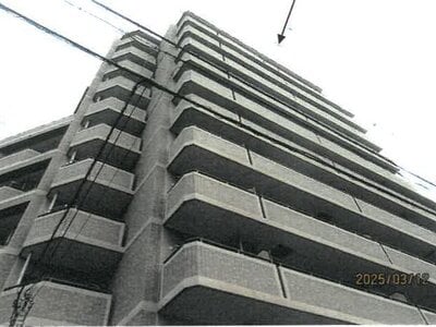 大阪府大阪市住之江区 平林駅8分 マンション「ダイアパレス住之江公園」1,494万円の競売物件 #1