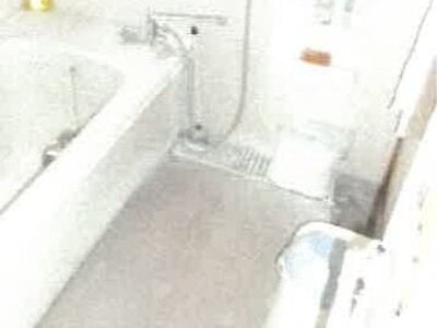 香川県木田郡三木町 白山駅29分 戸建て 296万円の競売物件 #17