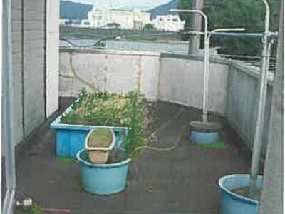 (値下げ) 静岡県沼津市 沼津駅29分 戸建て 293万円の競売物件 #16