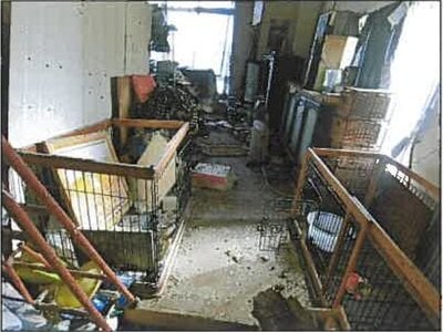 広島県福山市 福山駅9分 戸建て 598万円の競売物件 #19