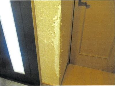 埼玉県蓮田市 白岡駅 戸建て 322万円の競売物件 #7