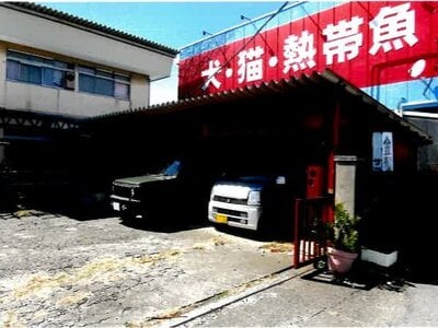 埼玉県桶川市 桶川駅9分 戸建て 1,928万円の競売物件 #12
