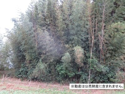 (値下げ) 千葉県市原市 上総村上駅 土地 11万円の国税庁公売物件 #1