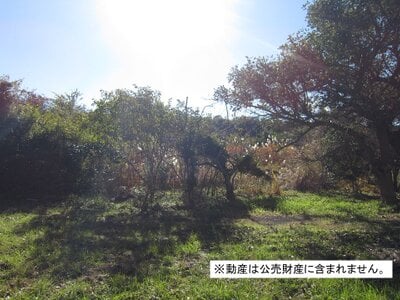 千葉県南房総市 千歳駅21分 農地 11万円の国税庁公売物件 #2