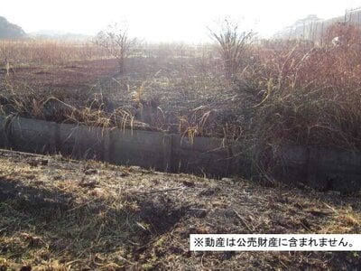 千葉県南房総市 千歳駅21分 農地 15万円の国税庁公売物件 #2