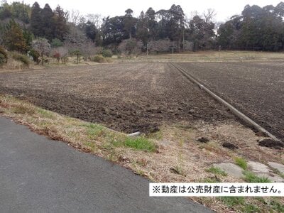 千葉県大網白里市 大網駅22分 農地 17万円の国税庁公売物件 #1
