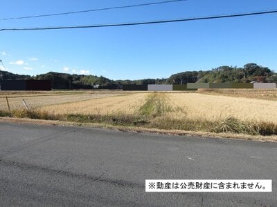 千葉県南房総市 千歳駅21分 農地 21万円の国税庁公売物件 #1