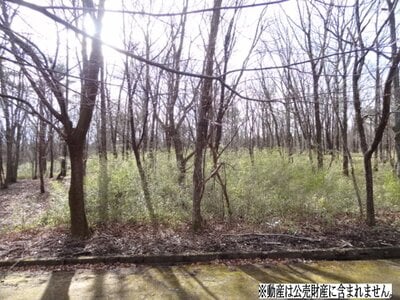 (値下げ) 栃木県那須郡那須町 土地 28万円の国税庁公売物件 #1
