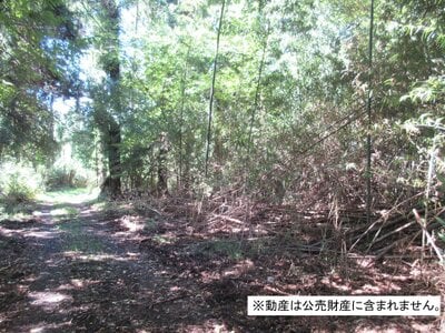 (値下げ) 千葉県市原市 上総牛久駅 土地 34万円の国税庁公売物件 #2