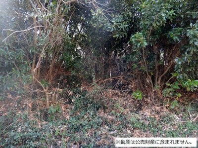 千葉県安房郡鋸南町 安房勝山駅2分 土地 60万円の国税庁公売物件 #1