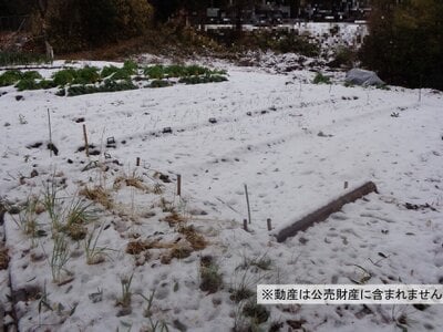 (値下げ) 神奈川県横浜市戸塚区 舞岡駅19分 農地 65万円の国税庁公売物件 #2