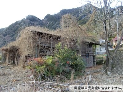 (値下げ) 静岡県浜松市天竜区 佐久間駅2分 戸建て 100万円の国税庁公売物件 #2