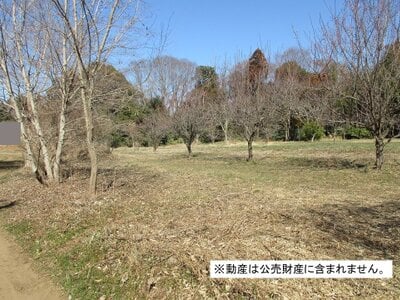 千葉県印西市 千葉ニュータウン中央駅25分 農地 140万円の国税庁公売物件 #4