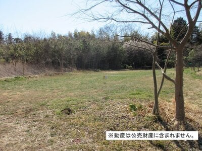 千葉県印西市 千葉ニュータウン中央駅25分 農地 140万円の国税庁公売物件 #5