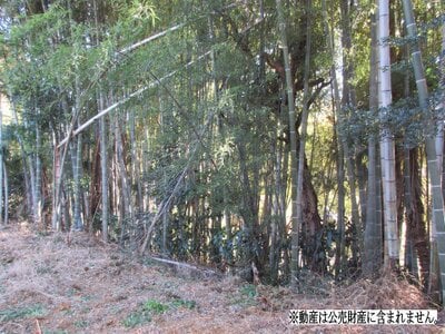 千葉県市原市 ちはら台駅 戸建て 170万円の国税庁公売物件 #3