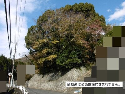 神奈川県足柄下郡湯河原町 十国峠駅 土地 230万円の国税庁公売物件 #1