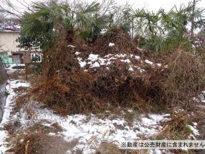 (値下げ) 神奈川県横浜市戸塚区 舞岡駅19分 農地 250万円の国税庁公売物件 #1