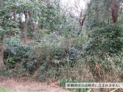 神奈川県横浜市戸塚区 舞岡駅5分 土地 980万円の国税庁公売物件 #2