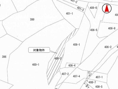 埼玉県秩父市 和銅黒谷駅28分 土地 5万円の国税庁公売物件 #3