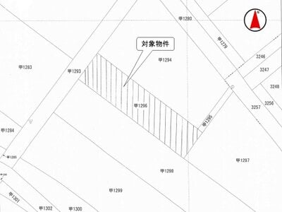 新潟県三条市 帯織駅 農地 17万円の国税庁公売物件 #3