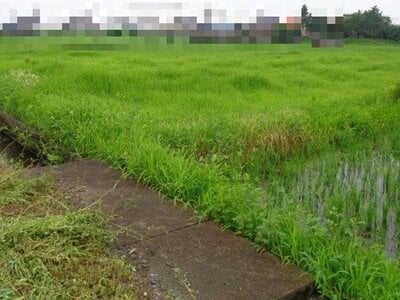 (値下げ) 群馬県太田市 竜舞駅11分 農地 47万円の国税庁公売物件 #1