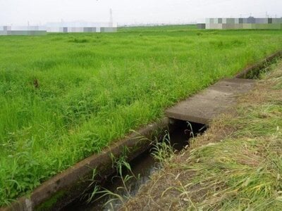 (値下げ) 群馬県太田市 竜舞駅11分 農地 47万円の国税庁公売物件 #2