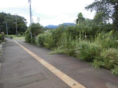(値下げ) 新潟県上越市 南高田駅8分 農地 389万円の国税庁公売物件 #2