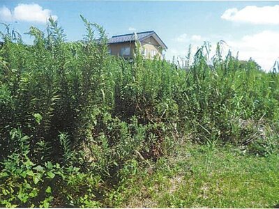(値下げ) 石川県かほく市 宇野気駅 農地 362万円の競売物件 #2
