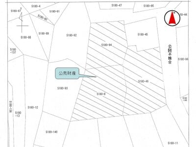 岐阜県揖斐郡揖斐川町 土地 2万円の国税庁公売物件 #1