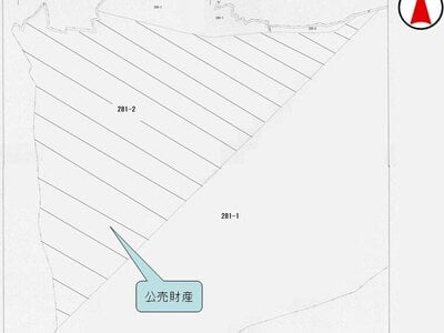 岐阜県揖斐郡揖斐川町 土地 9万円の国税庁公売物件 #1