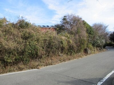 (値下げ) 静岡県田方郡函南町 函南駅 土地 48万円の国税庁公売物件 #2